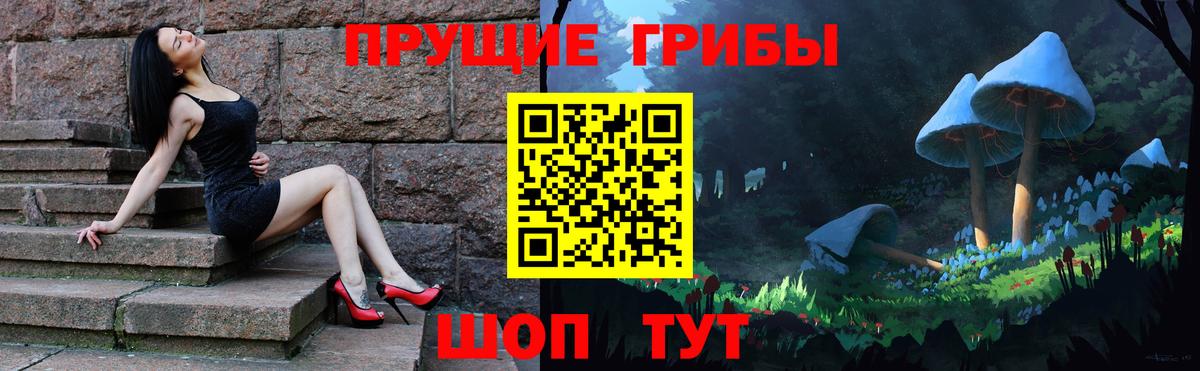 Галлюциногенные грибы Magic Shrooms  Галлюциногенные грибы ЛСД  Курчатов  купить  цена  Вход с VPN 